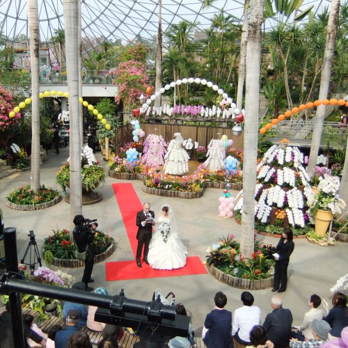 鳥取花回廊でたくさんの人に祝福されての挙式。素敵でした♡