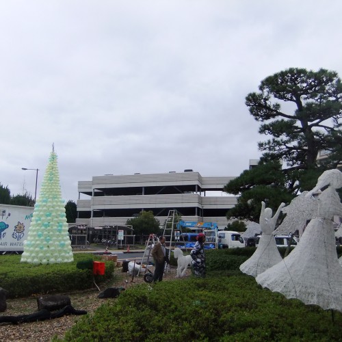 鳥大医学部様　④